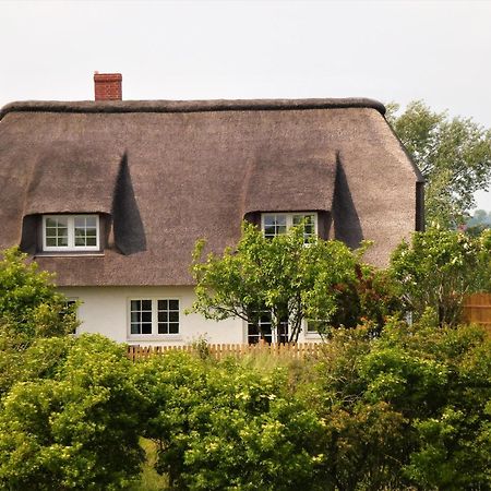 Haus Am Leuchtturm Lejlighed Pelvorm Eksteriør billede